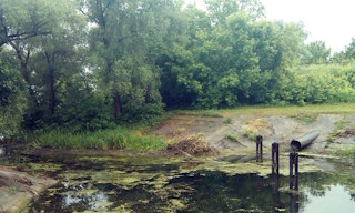 Экологические услуги от ПромМир-Юбл в Юбилейном - стоимость от 12364 руб.