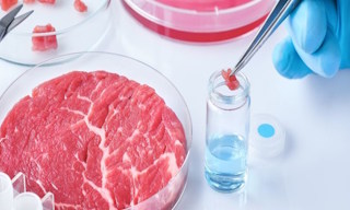 Лабораторный анализ пищевых продуктов по СанПиН в Юбилейном в октябре