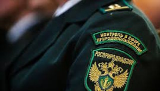 Подготовка к проверке Росприроднадзора в Юбилейном от ПромМир-Юбл, стоимость услуги от 20606 руб.